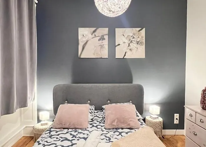 Jaude - Cosy En Centre Apartment *