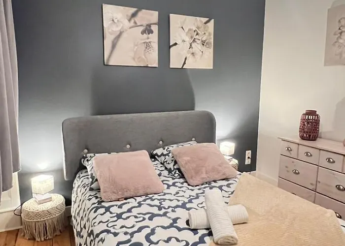 Jaude - Cosy En Centre Apartment