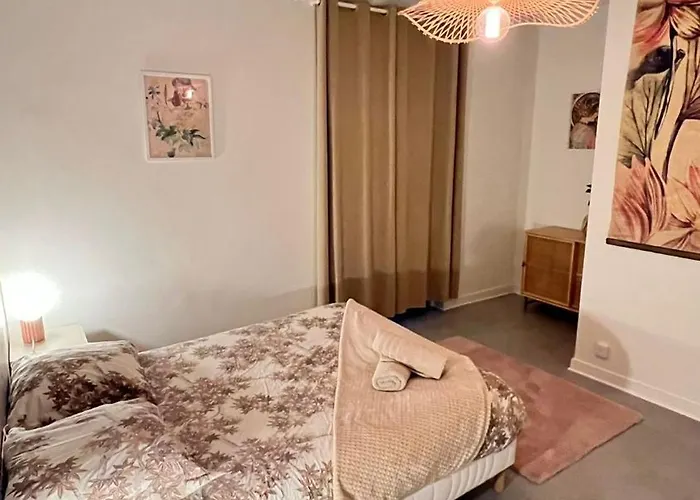 Jaude - Cosy En Centre *