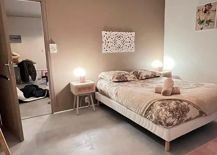 Jaude - Cosy En Centre Apartment *