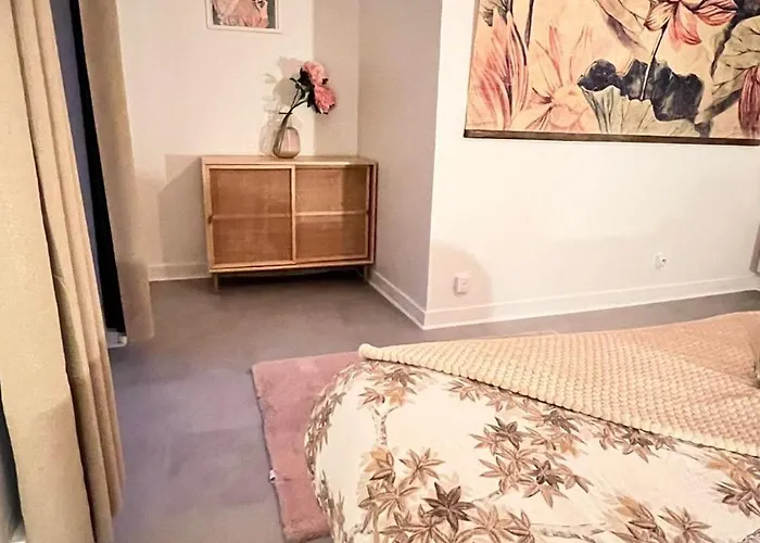 アパート Jaude - Cosy En Centre *