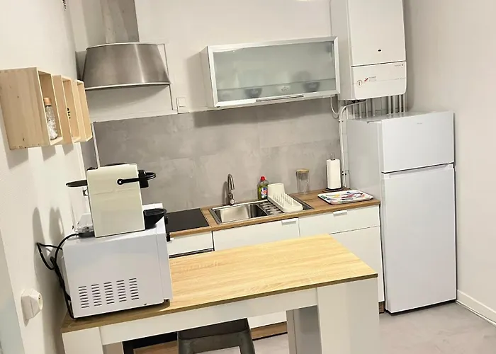 Jaude - Cosy En Centre * Clermont-Ferrand